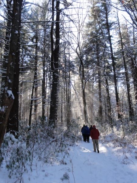 People walking on snow trail